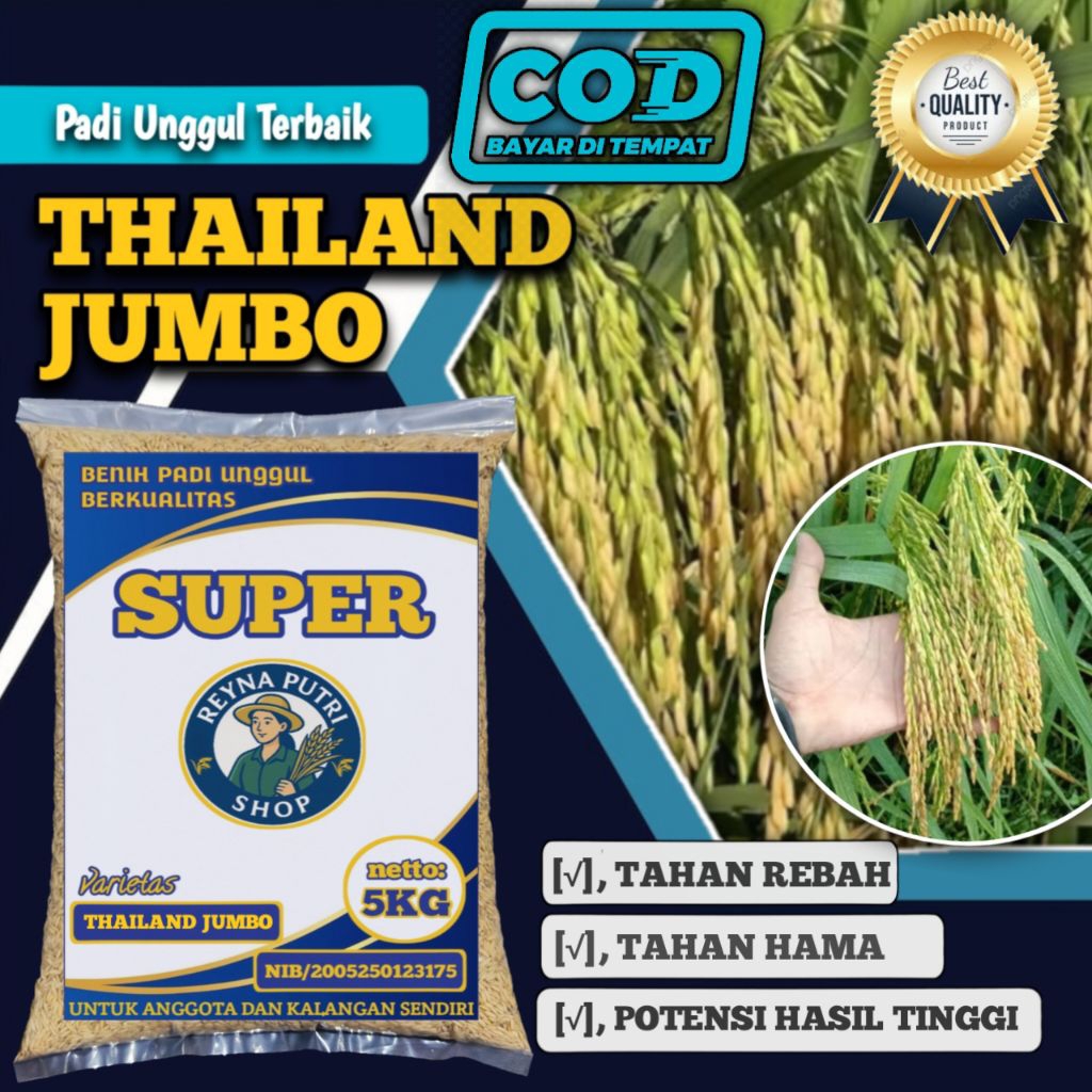 benih padi terbaik thailand jumbo original 5kg