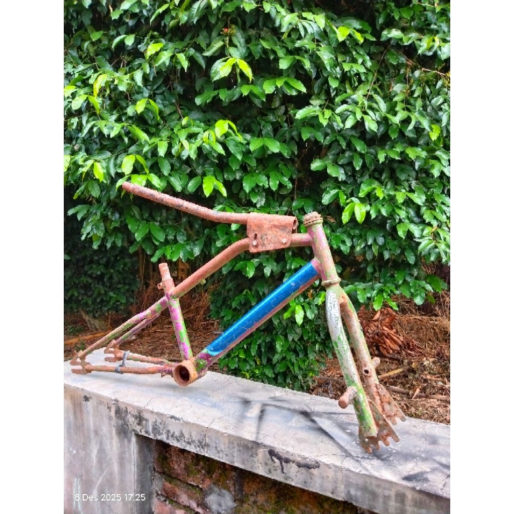 FRAME BMX WIMCYCLE RING 20 METALIZER