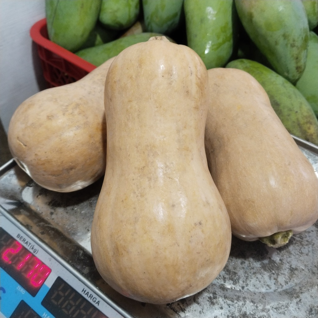 Labu Madu Butternut 1 Kg Rasa Manis Gurih Creamy / Labu Madu Premium