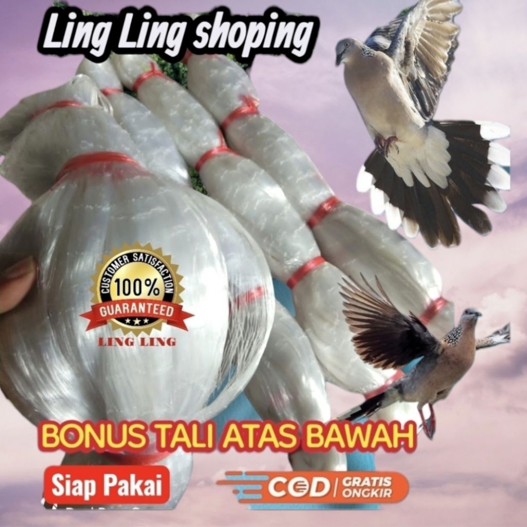 JARING BURUNG PERKUTUT PANJANG 50 METER X LEBAR 5 METER