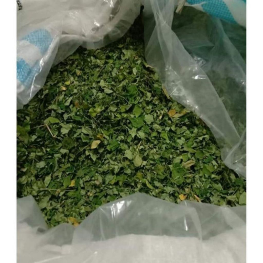 Daun kelor kering 1 kg