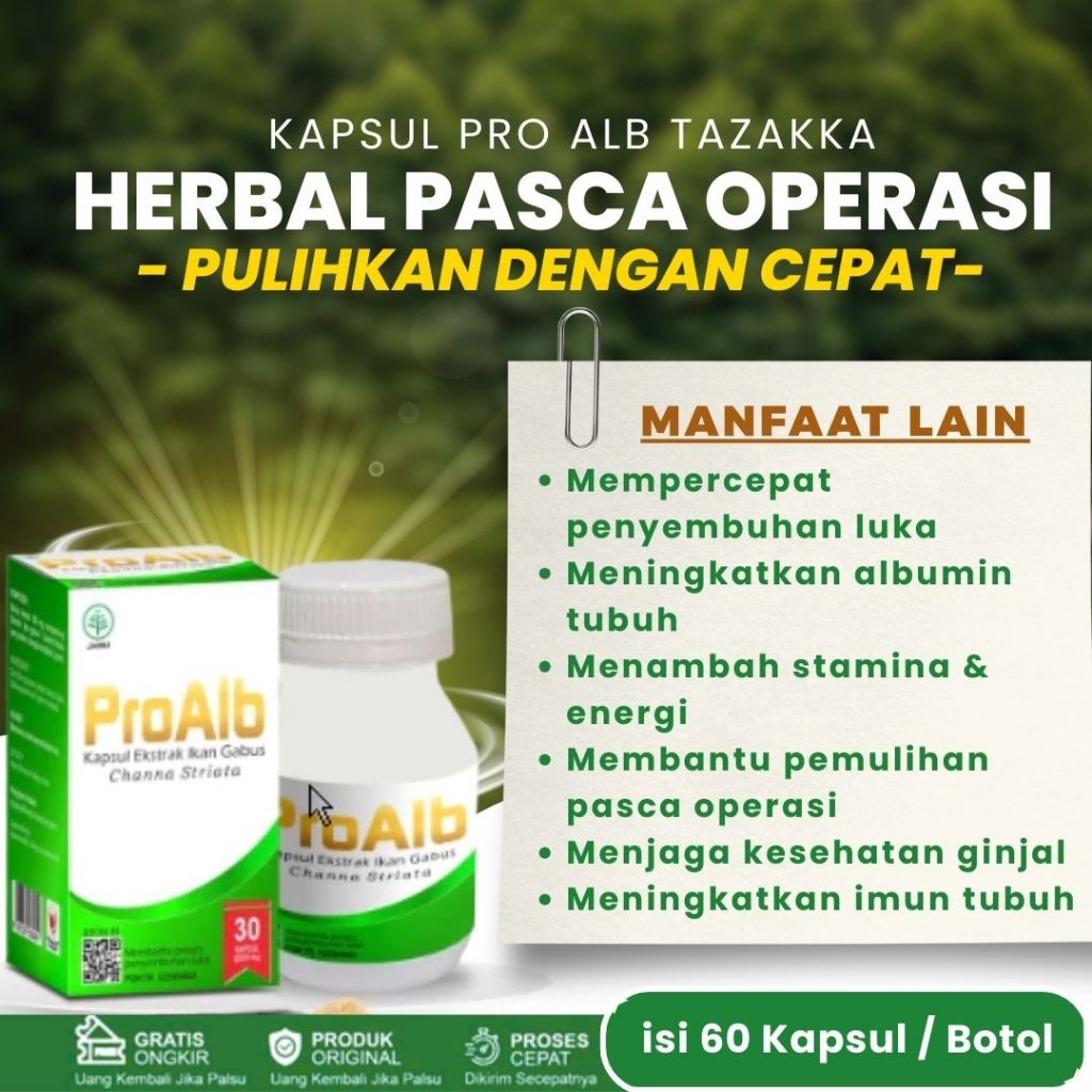 KAPSUL KUTUK PRO ALBUMIN EKSTRAK IKAN GABUS KUTUK KAPSUL isi 50 kapsul 100% asli original