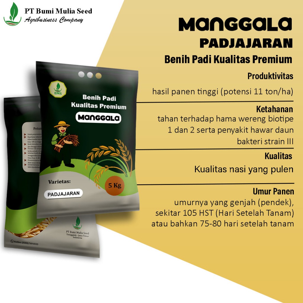 Benih Padi Manggala Padjajaran 5 Kg