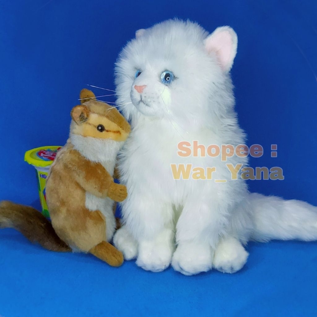 Boneka Anak Kucing Ragdoll Bicolour Import Inggris Original Pet Cat Kitten Kitty Mirip Asli Plush St
