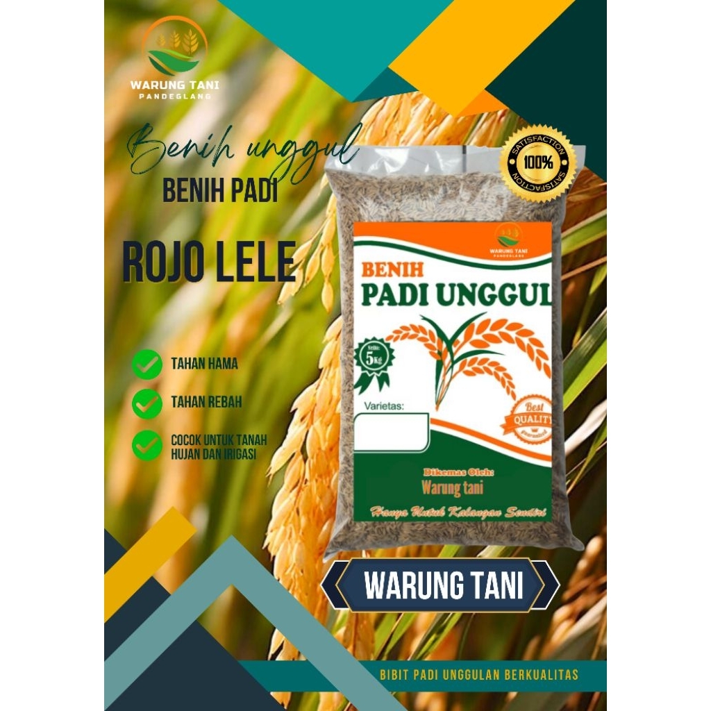 BENIH PADI UNGGUL ROJO LELE