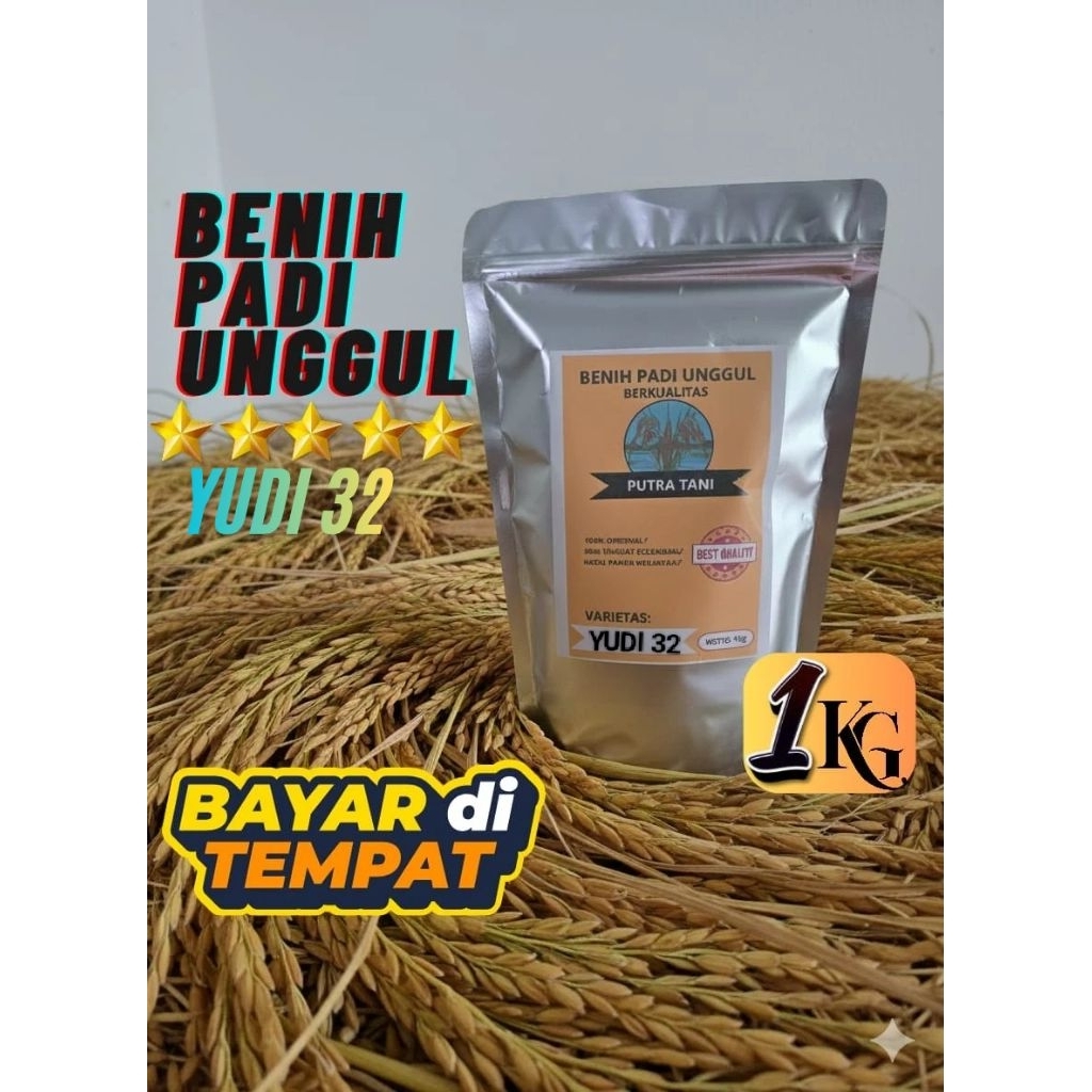 BENIH PADI YUDI 32 BIBIT PADI BERKUALITAS UNGGUL (KEMASAN 1KG)
