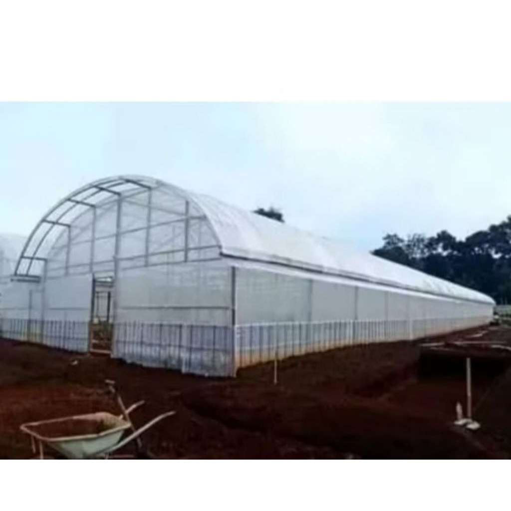 PLASTIK UV GREEN HOUSE  200 Micron, 20 X 2 Meter