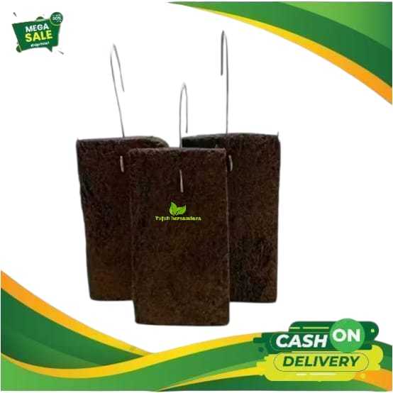 media papan pakis lempeng - media tempel anggrek - lebar 12, panjang 22, tebel 2,5cm + kawat