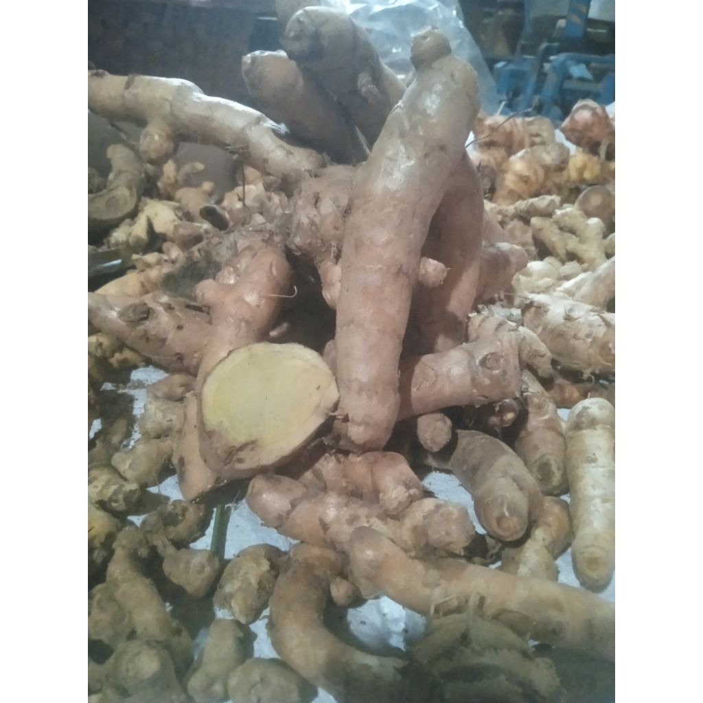 temu ireng/temu hitam 1kg