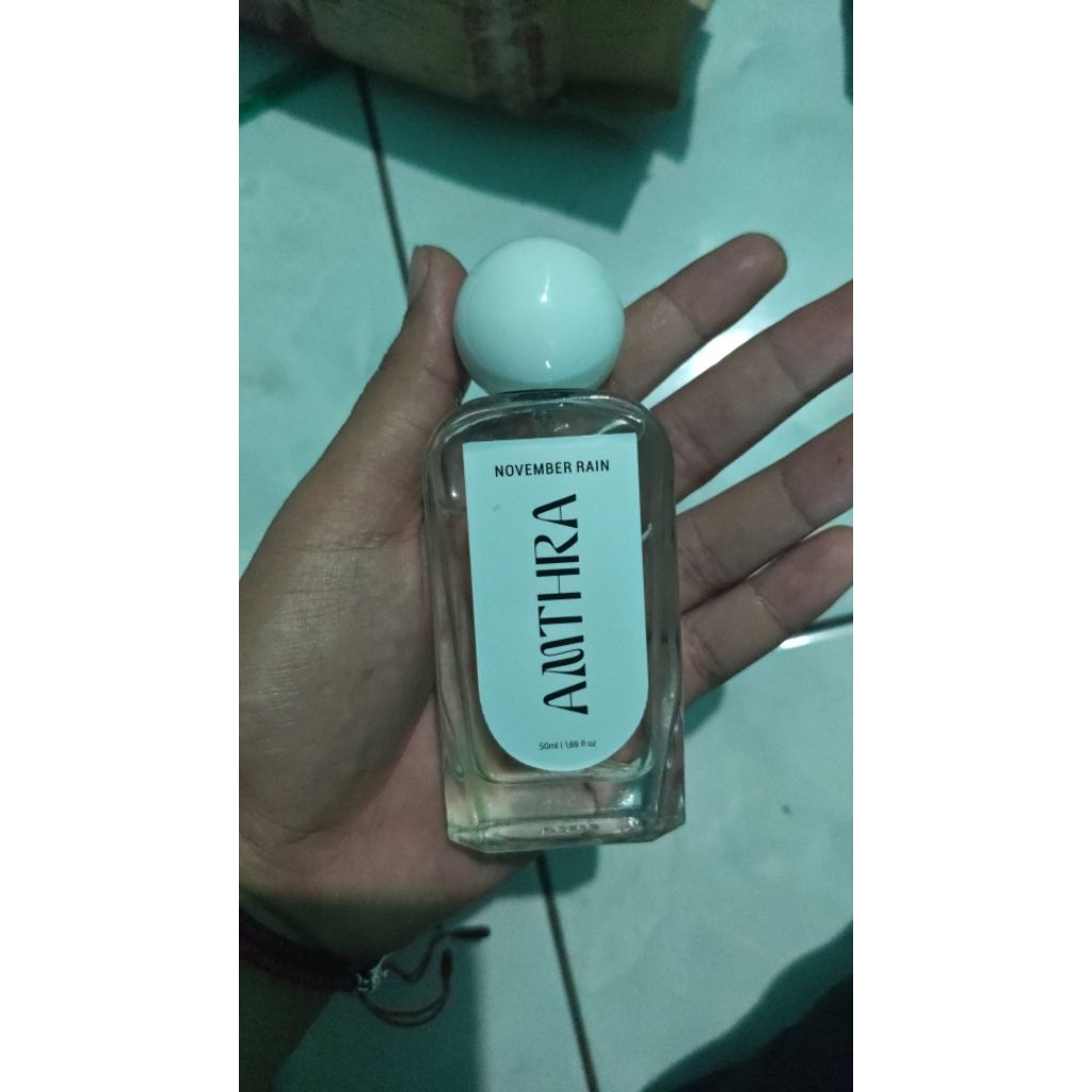 Amthra november rain