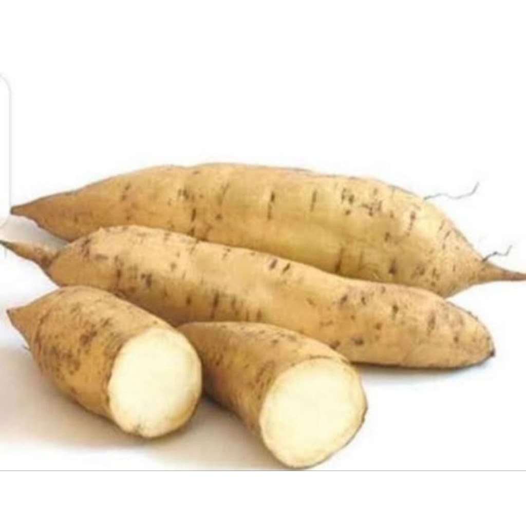 SShd Ubi putih legit 500gram