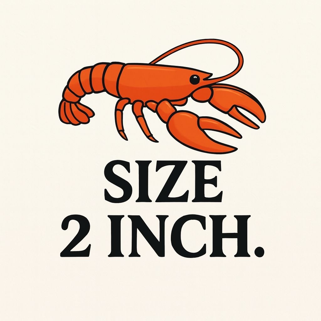 Bibit Lobster Air Tawar 2 inch