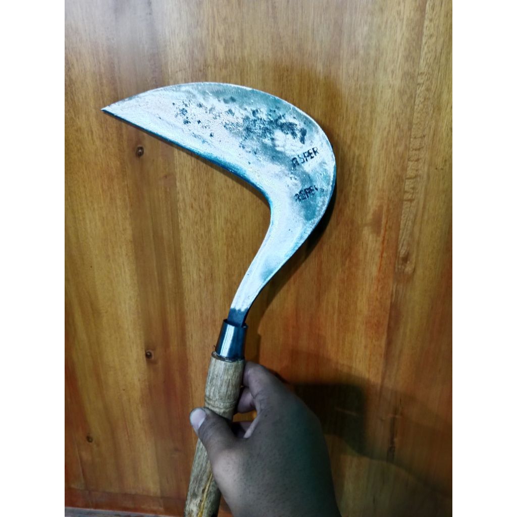 Arit ASPER CILEMBU | Sabit Potong Rumput Padi Sawah Kebun | Baja Per Super Tajam SIAP PAKAI