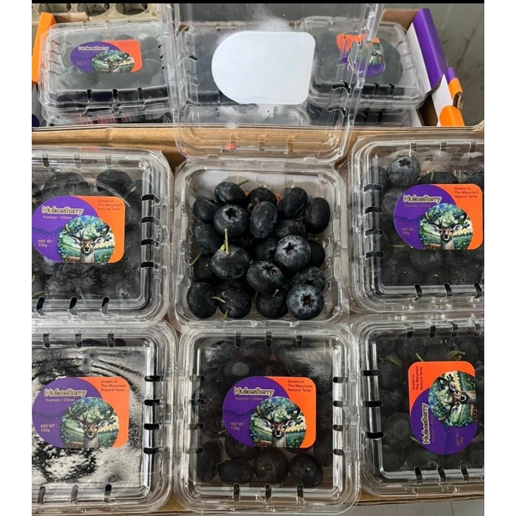 blueberry import 125gr segar fresh surabaya