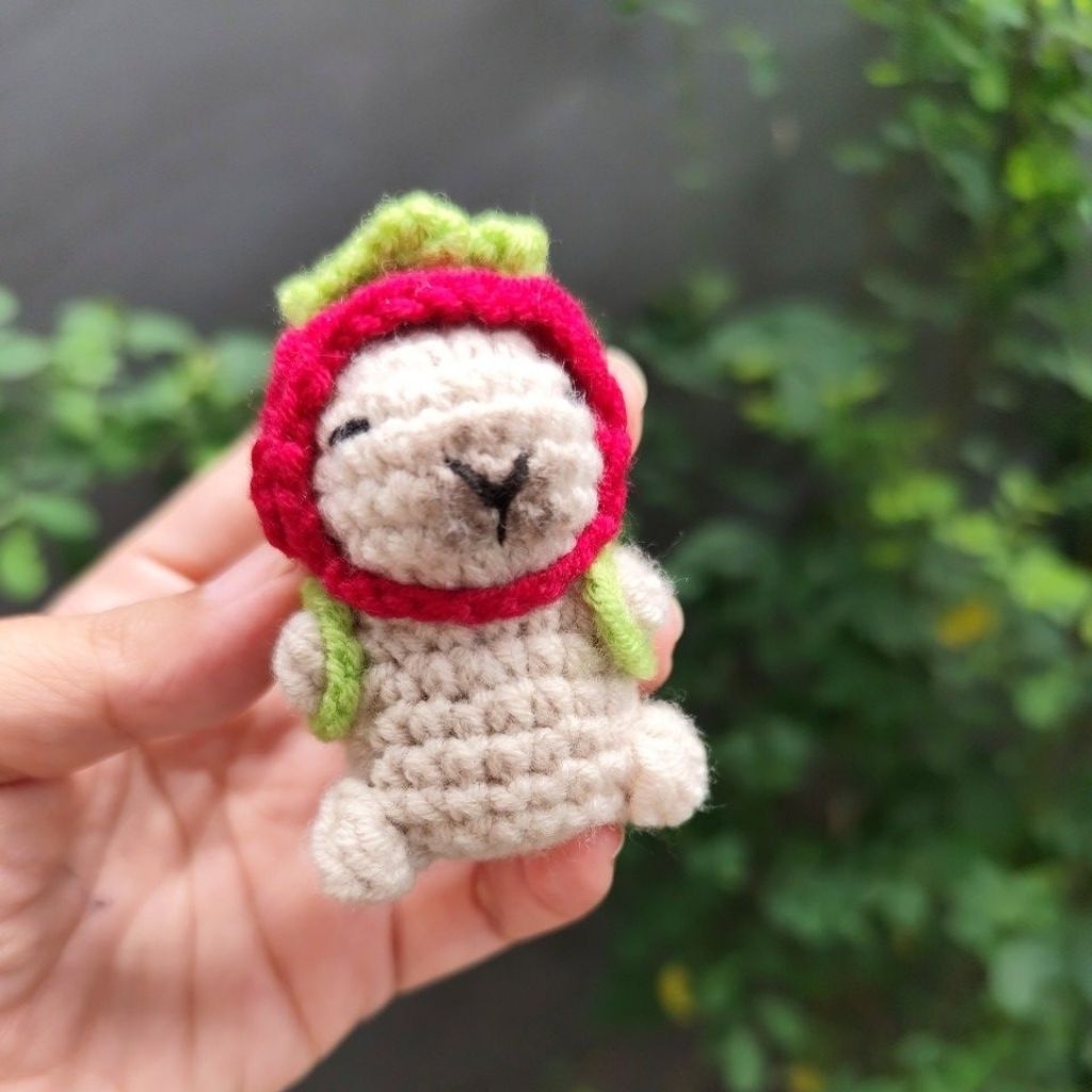 capybara scholl series