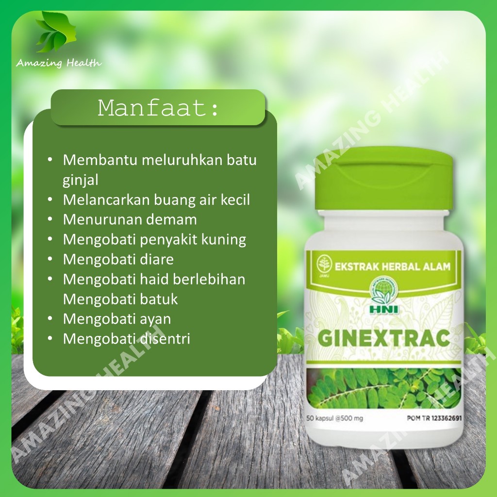 Ginextrac HNI HPAI Herbal Batu Ginjal Batu Empedu Batu Urin Kencing Nanah