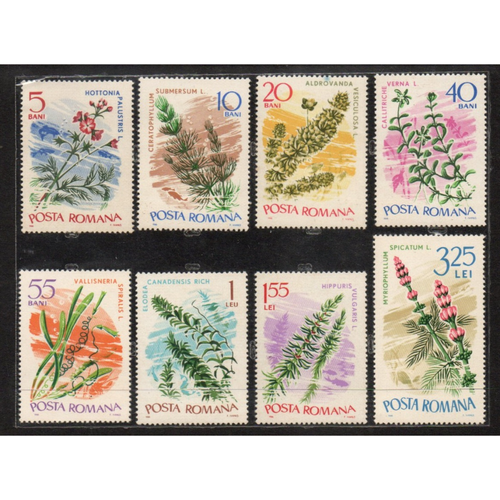 Prangko Tema Bunga mint 124