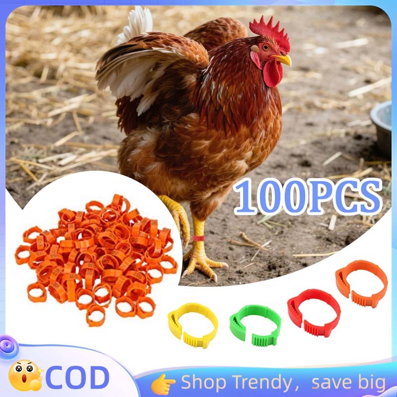 Cincin Kaki Ayam Kampung Ring Ayam Shamo Gelang Kaki Ayam Termurah 100pcs Penanda Kaki Ayam