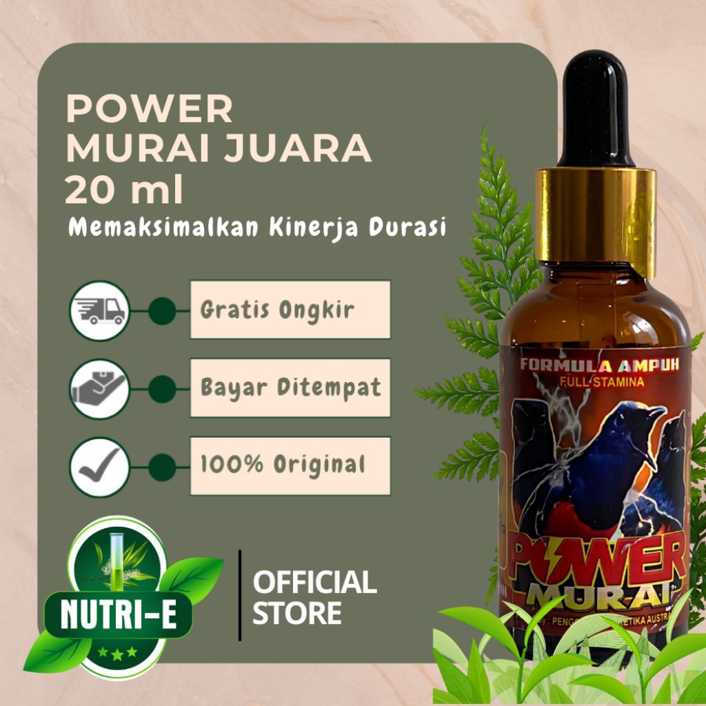 Power Murai juara lomba Vitamin Penggacor Burung