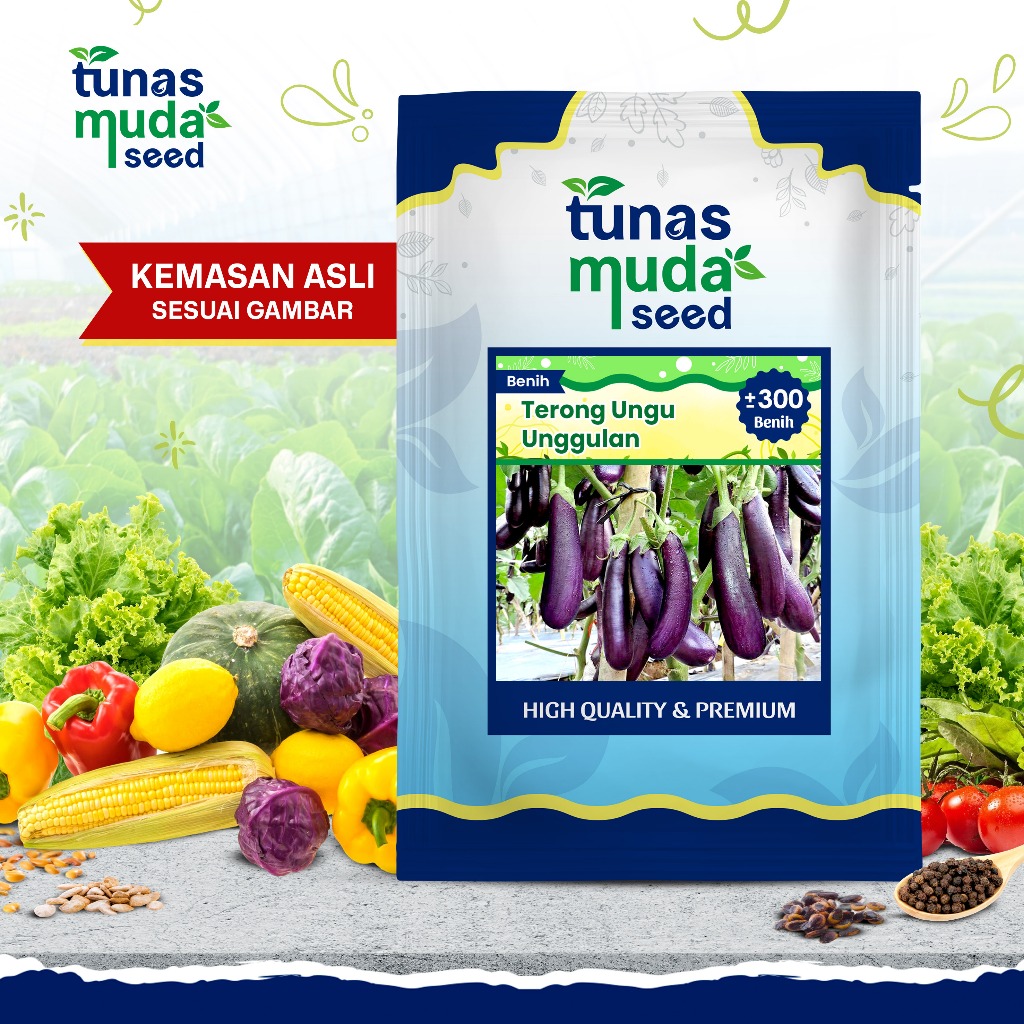 Tunas Muda Benih Terong Ungu Panjang Unggulan (-+300biji)
