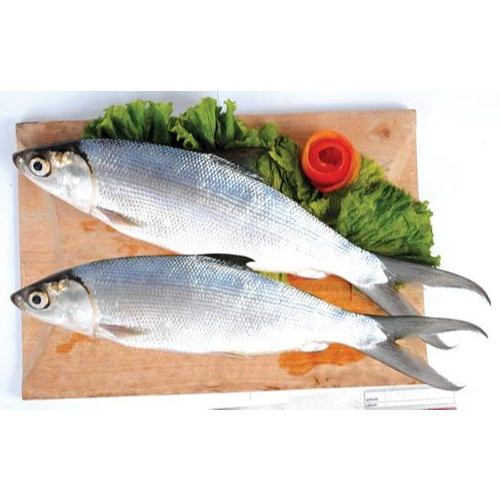 PROMO IKAN ASAP / PRESTO BANDENG SEGAR BERSIH