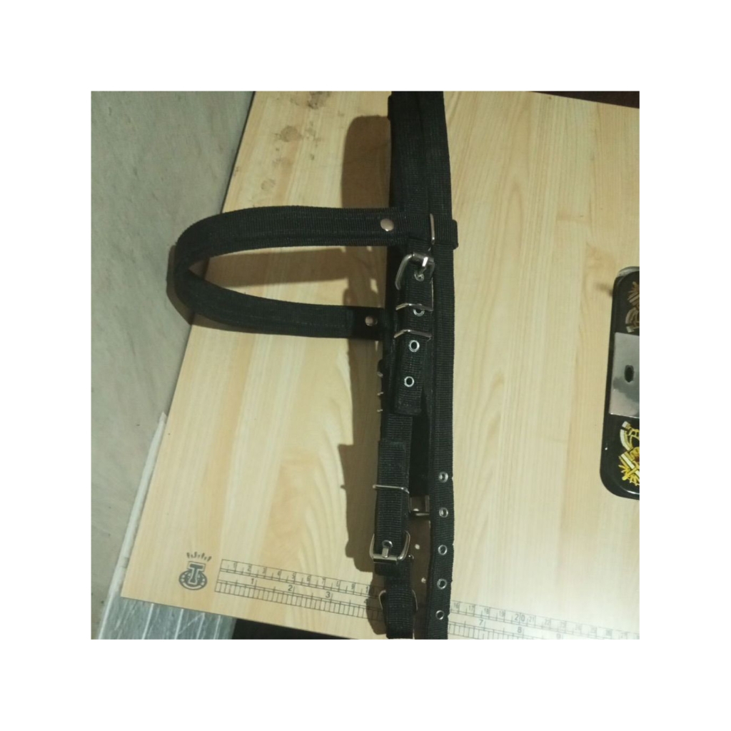 bridle kuda