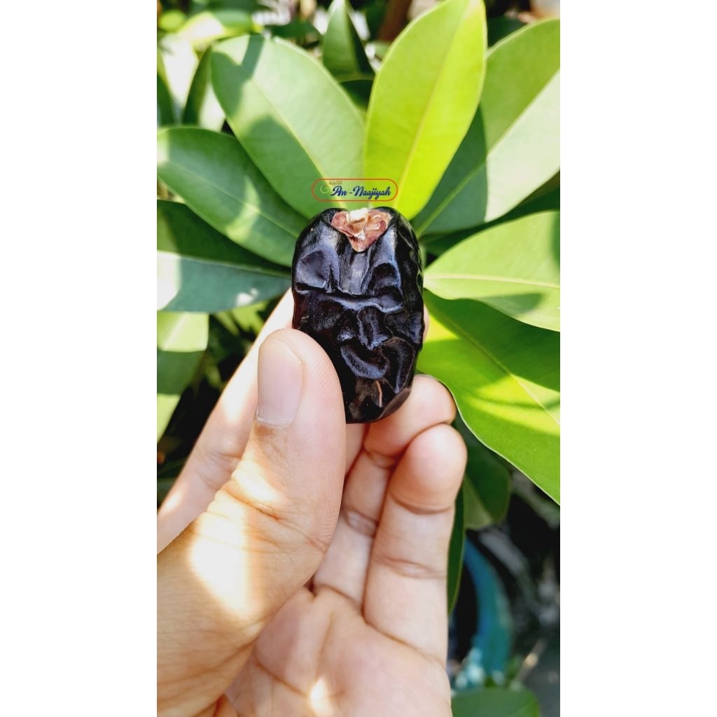 READY KURMA BAMS RANUNA 600GR | KURMA ANGGUR | KURMA HITAM