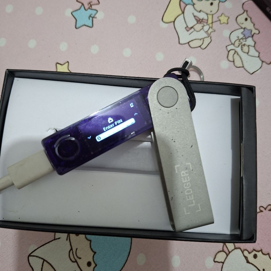 ledger nano x mentok pin