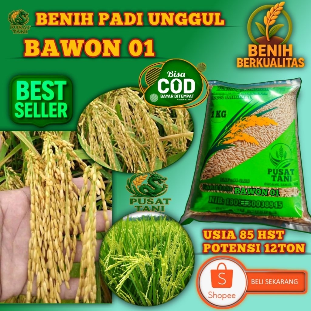 BENIH PADI UNGGUL BAWON 01 SUPER BIBIT ASLI 100%ORIGINAL 1KG