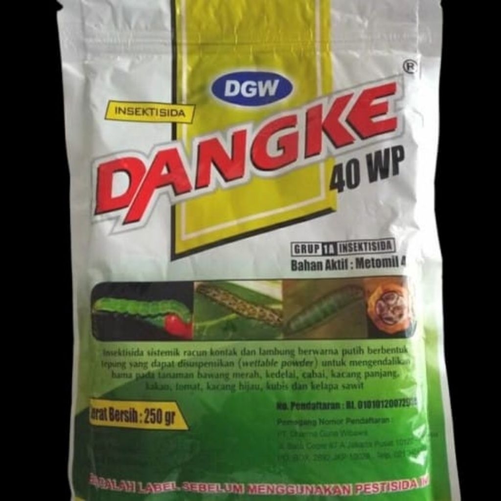 Dangke