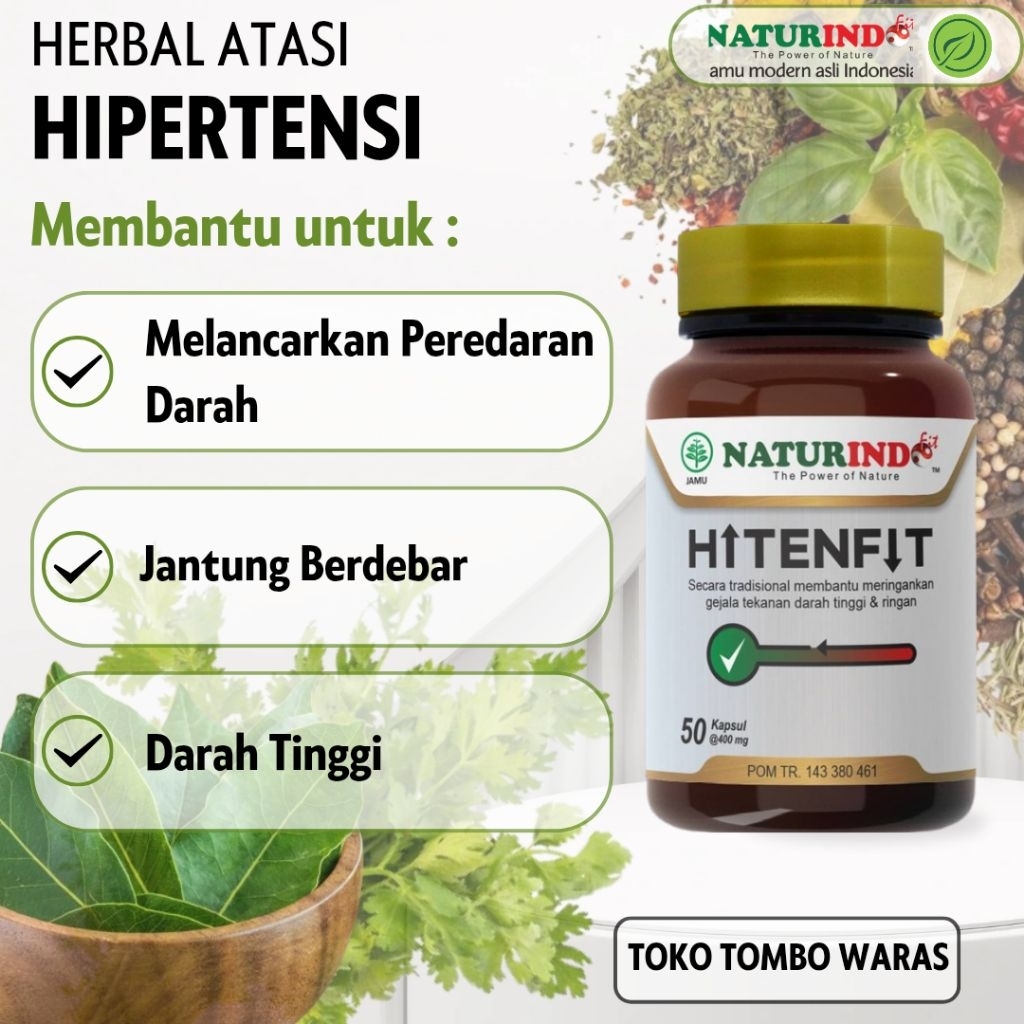 Hitenfit Obat Hipertensi Darah Tinggi Naturindo