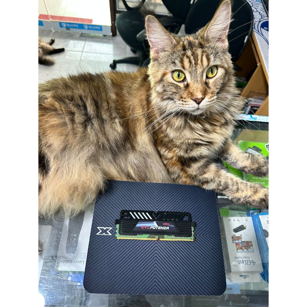 RAM PC LONGDIMM GEIL EVO POTENZA 8GB DDR4 2400MHZ HEATSINK BEKAS KONDISI NORMAL