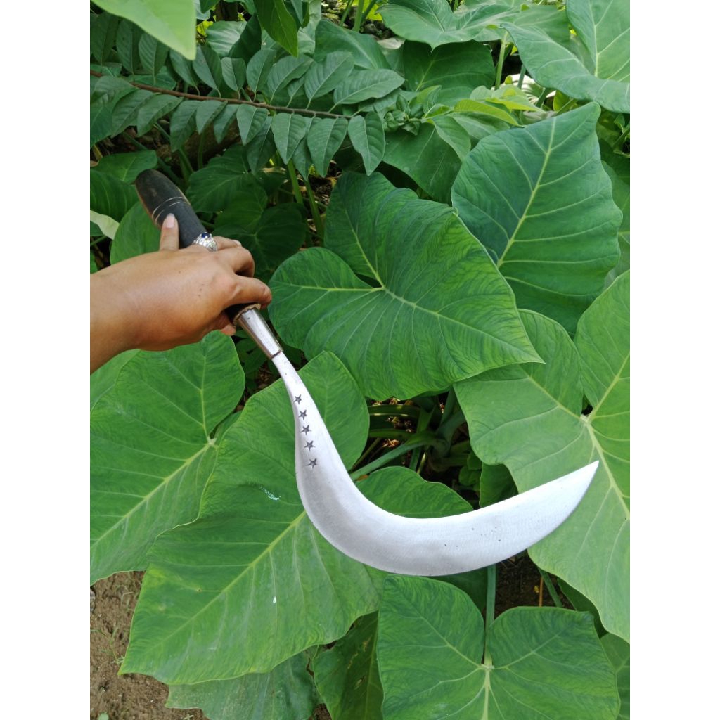 Alat pertanian arit tradisional ori bintang lima