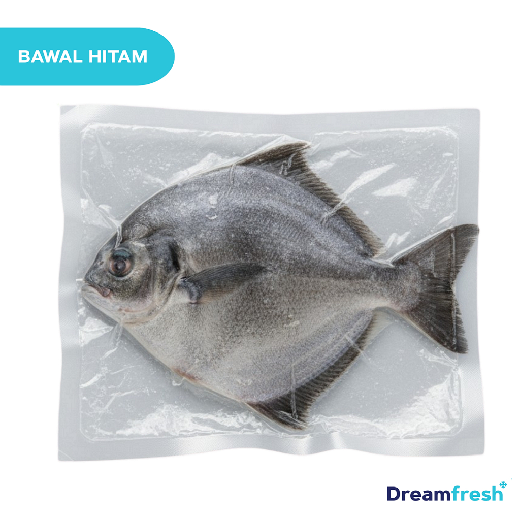 Ikan Bawal Laut Fresh Frozen Beku Segar Bawal Hitam