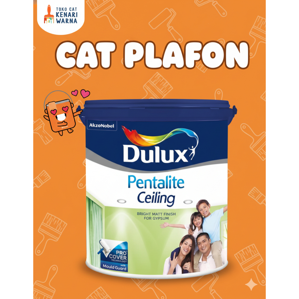 CAT PLAFON DULUX PENTALITE CEILING/ CAT PLAFON 25 KG