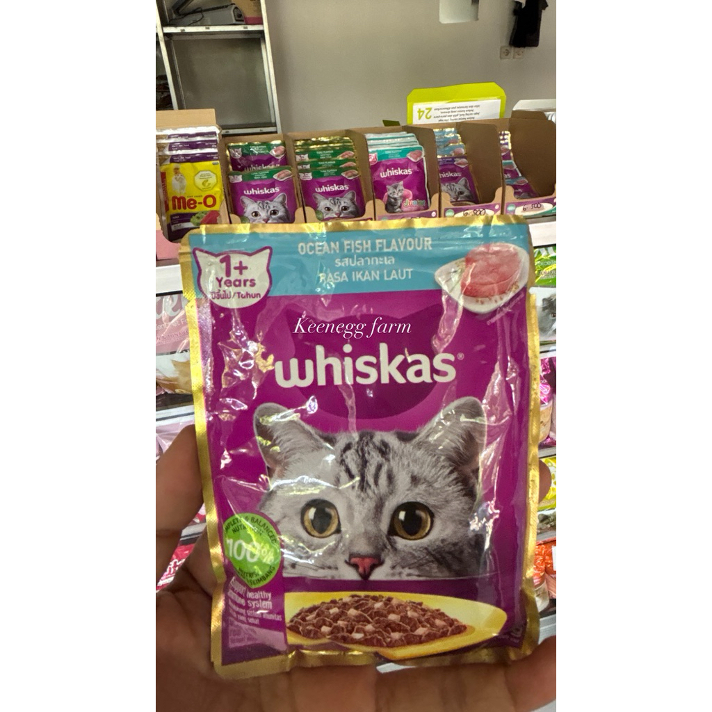 whiskas basah adult / ikan laut /whiskas basah