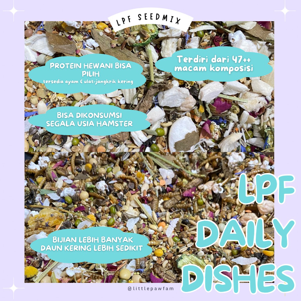 LPF DAILY DISHES | SEEDMIX HAMSTER SEGALA USIA | MAKANAN POKOK HAMSTER | PAKAN HAMSTER PREMIUM | SYR
