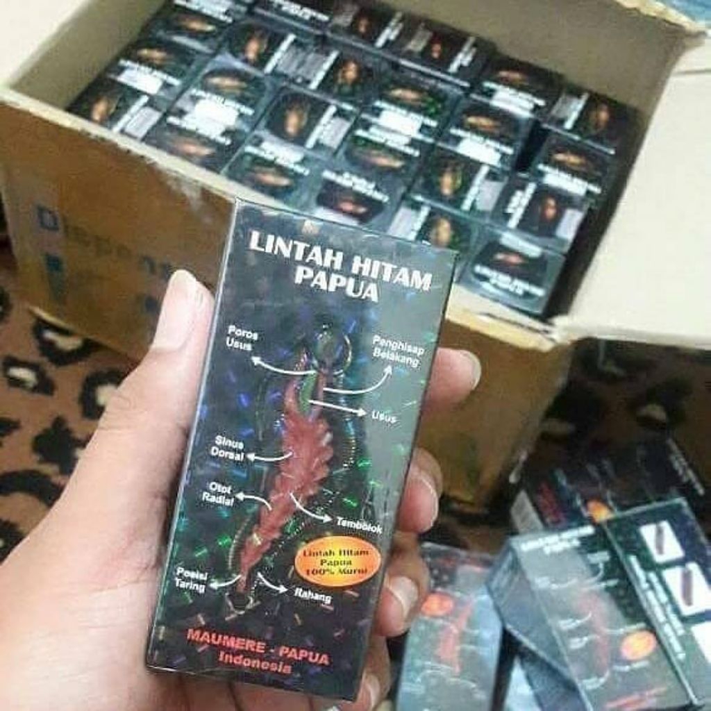 MINYAK LINTAH HITAM PAPUA. Asli original 100% BPOM