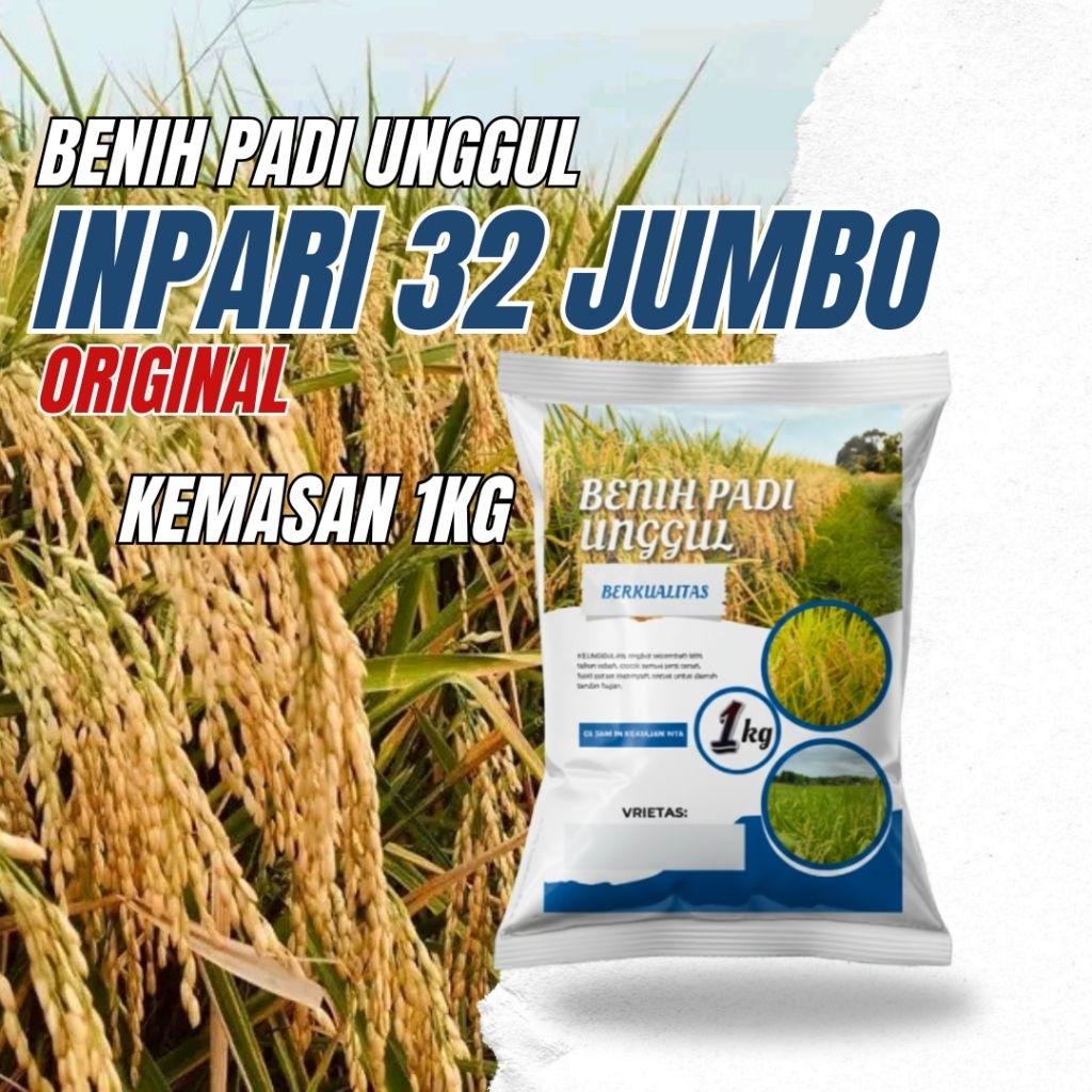 Benih padi unggul Inpari32 jumbo original 1kg