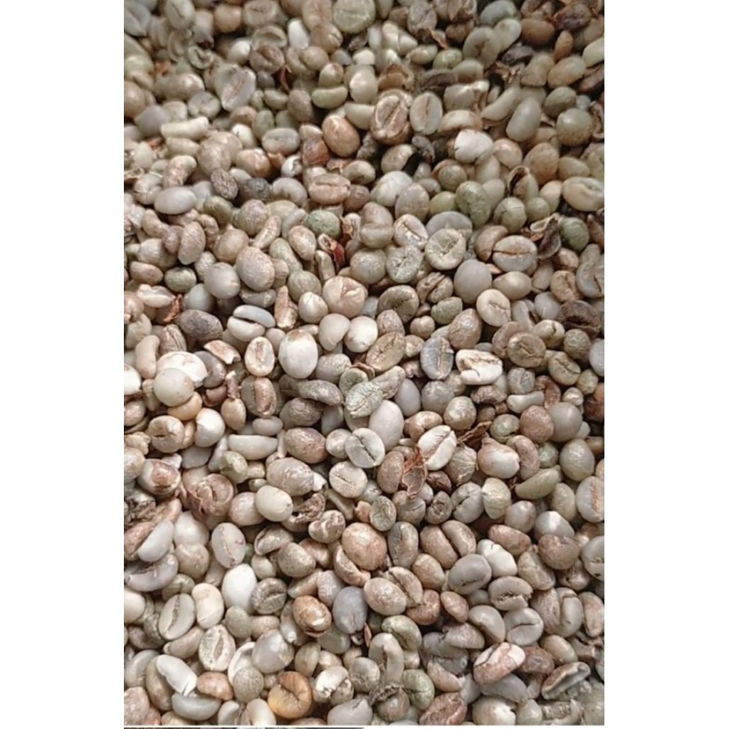 5 kg biji kopi robusta berasan mentah oseh Lampung asalan