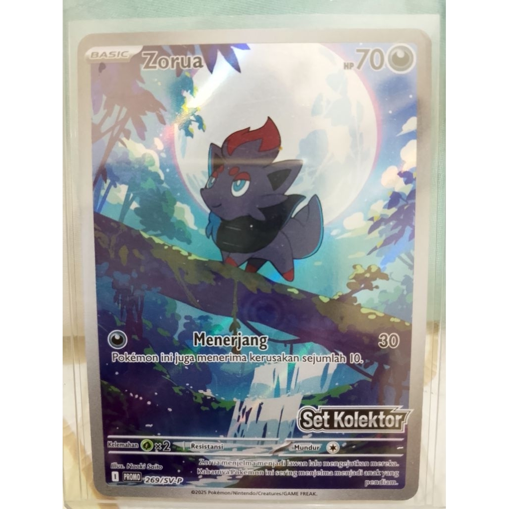 Pokemon TCG Zorua sv-p promo ind