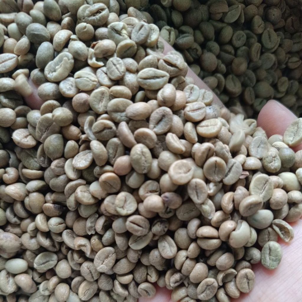 Robusta Ijen