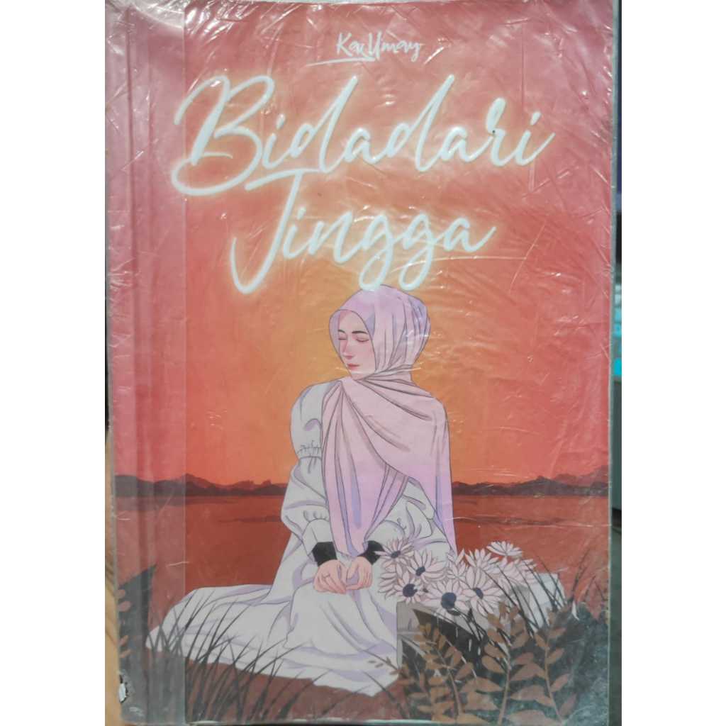 BUKU NOVEL BIDADARI JINGGA BEKAS