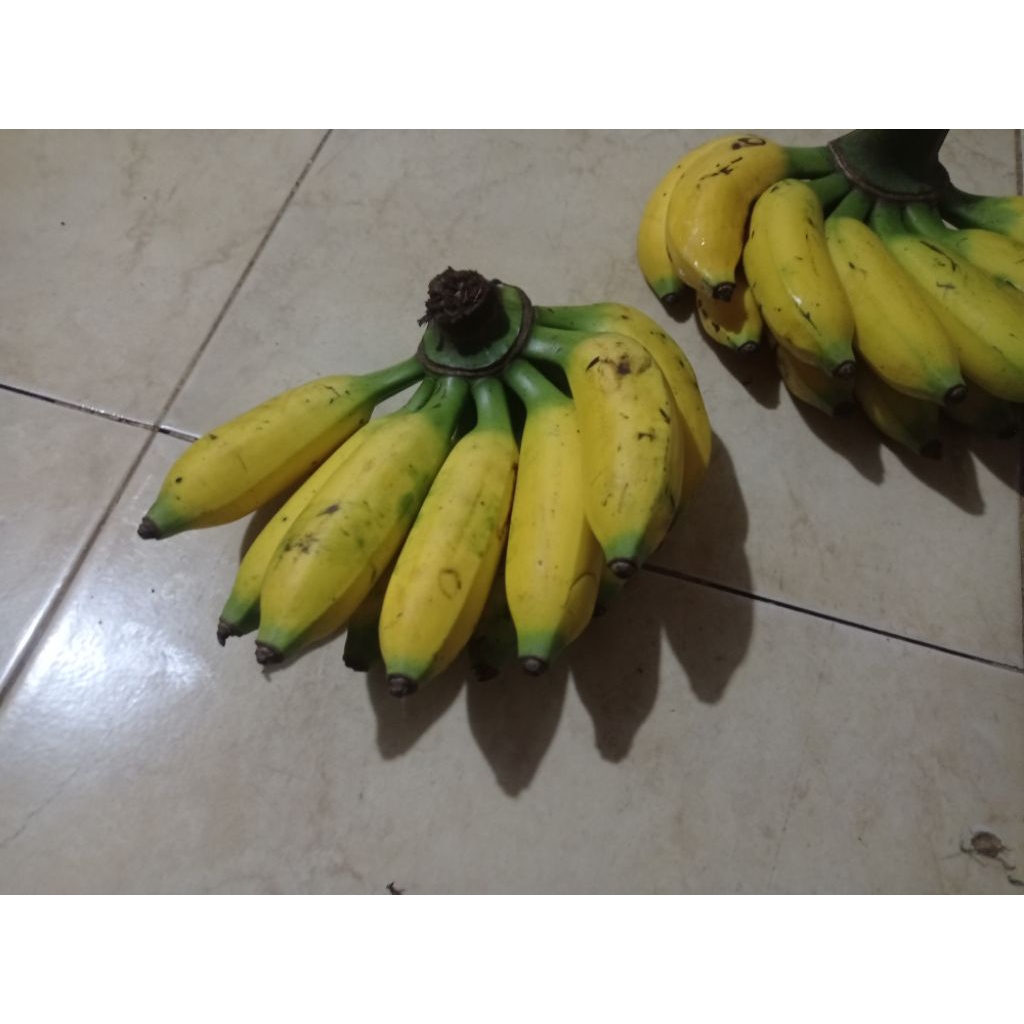 Buah Pisang Raja Uli [Organik 100%] "PISOLA" (Pisang Olahan)
