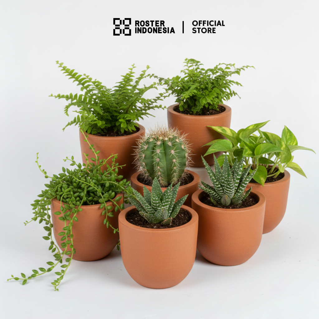 Pot Bunga Minimalis Estetik – Pot Tanaman Hias Estetik Indoor & Outdoor - Roster Indonesia