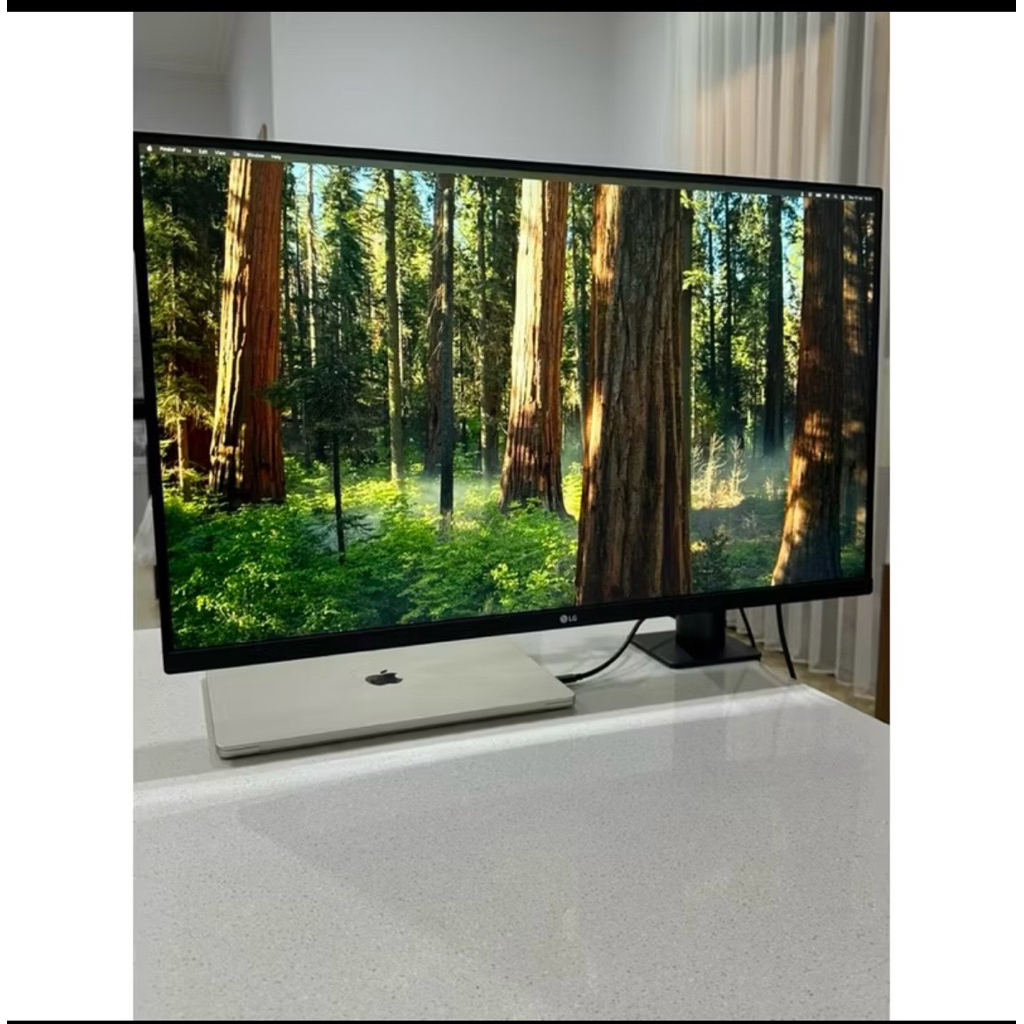 monitor LG