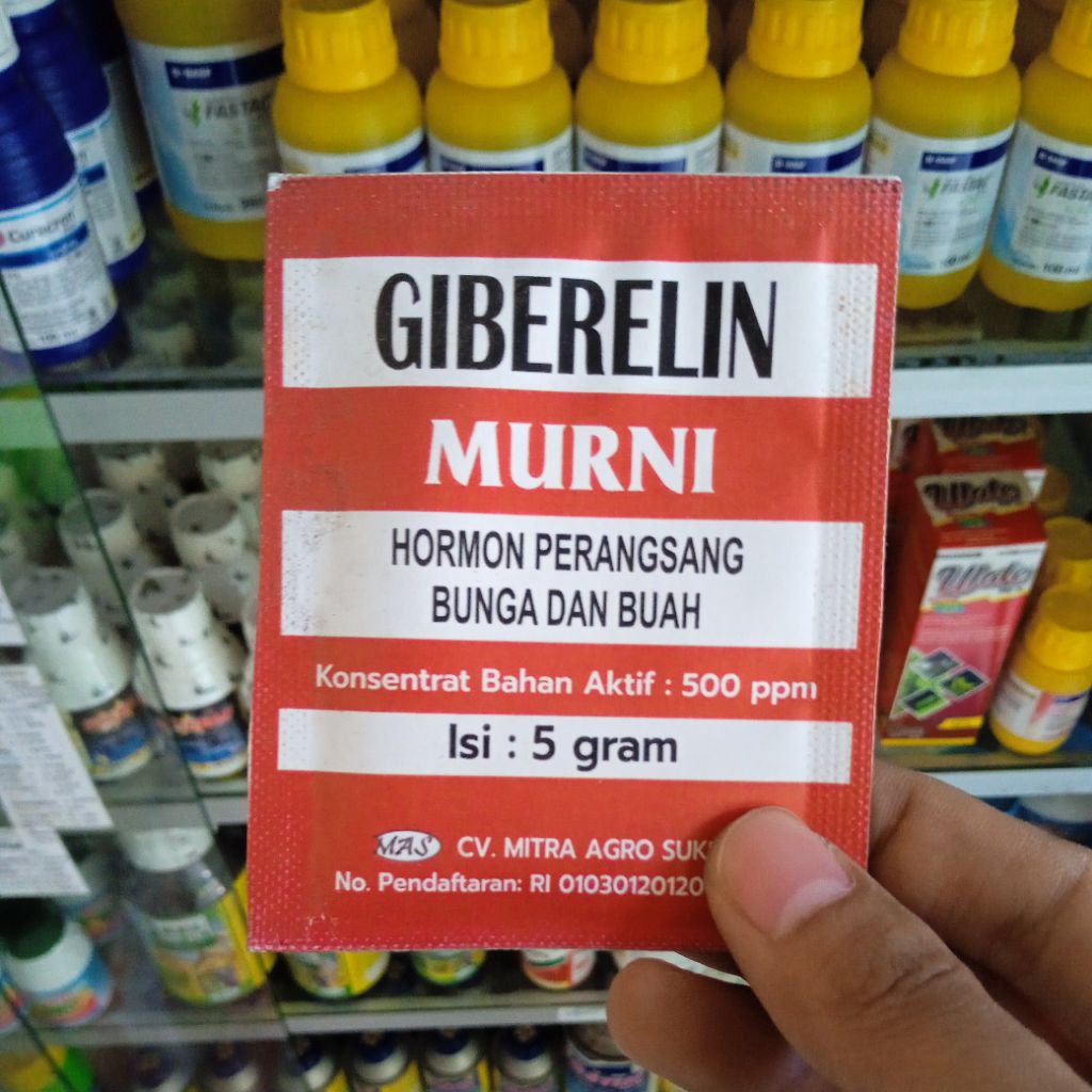 Giberelin murni 5gr [ ORIGINAL ]
