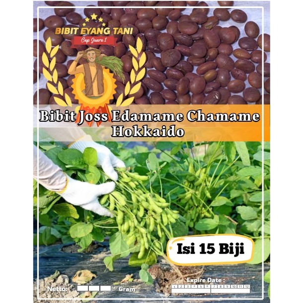 Bibit Joss Edamame Chamame Hokkaido | Biji Benih Edamame Chamame | EDAMAME