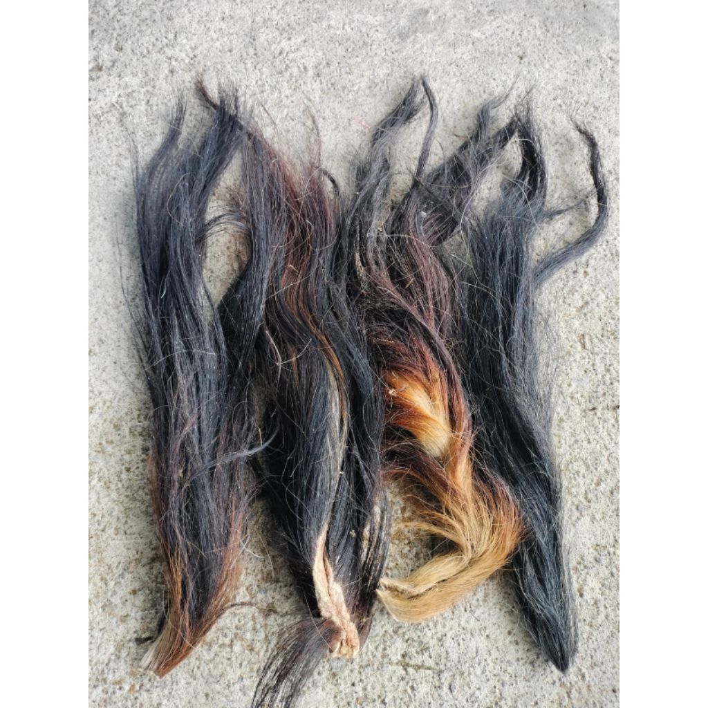 Rambut sapi/ekor sapi