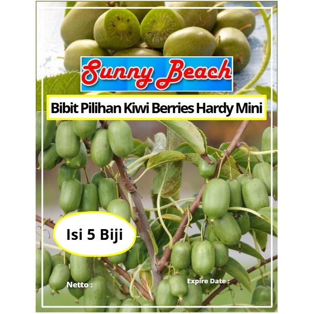 Bibit Pilihan Kiwi Berries Hardy Mini | Biji Benih Kiwi Berry Mini| Kiwi Berries